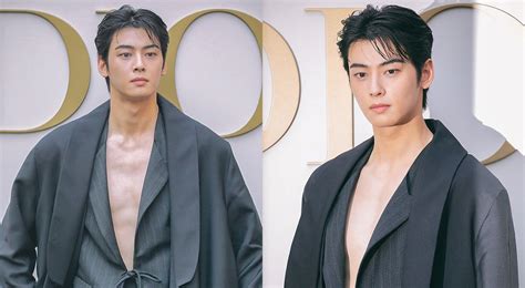 dior ambassador cha eun woo|Cha Eun Woo causes awe with his perfect visuals and  .